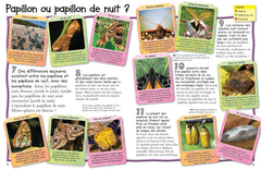 Les papillons