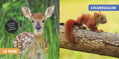 Mon premier doc photo - Bébés animaux