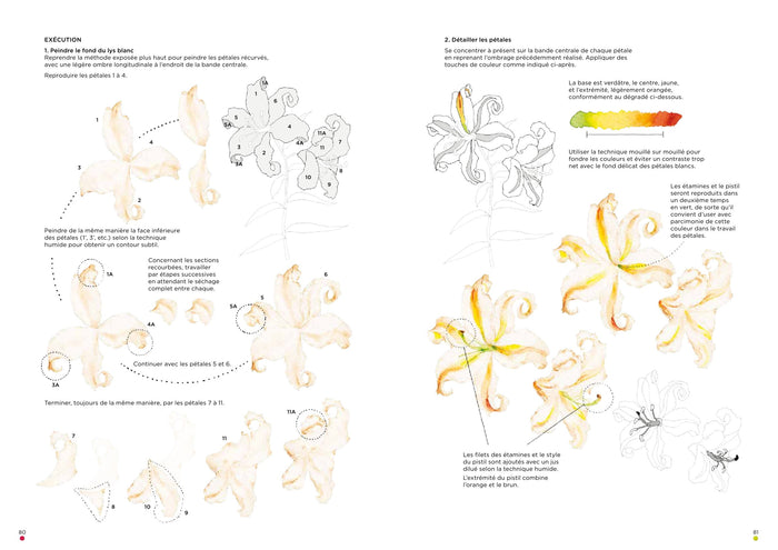 Leçons d'aquarelle japonaise