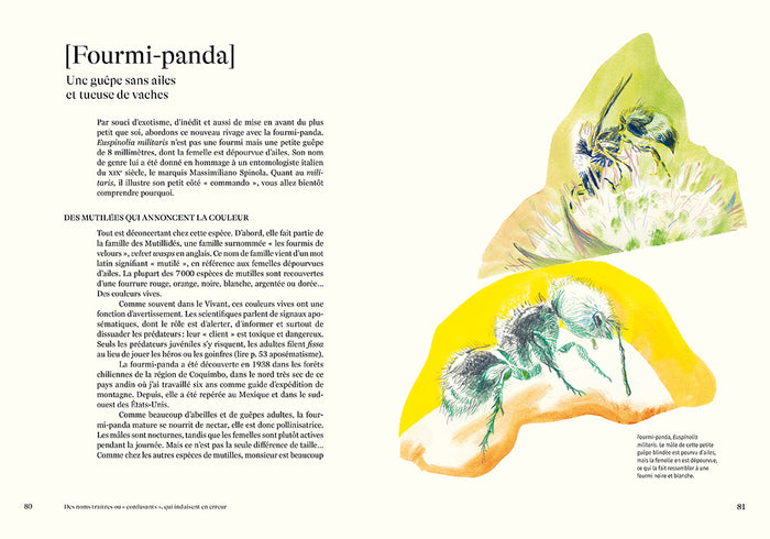 Nomen - L'origine des noms des espèces