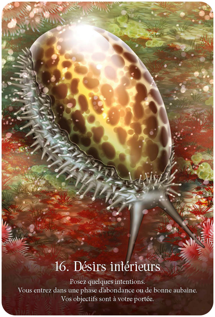 Murmures de l'océan