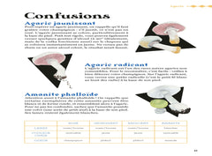 Comment trouver des champignons ?