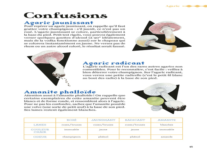 Comment trouver des champignons ?