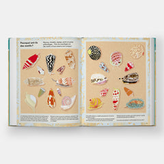 La vie secrète des coquillages