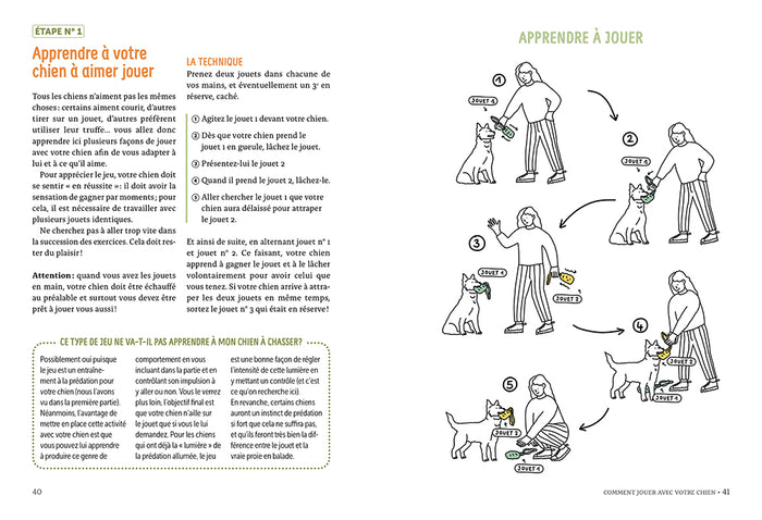 Éduquer son chien par le jeu - Une méthode efficace pour renforcer la relation