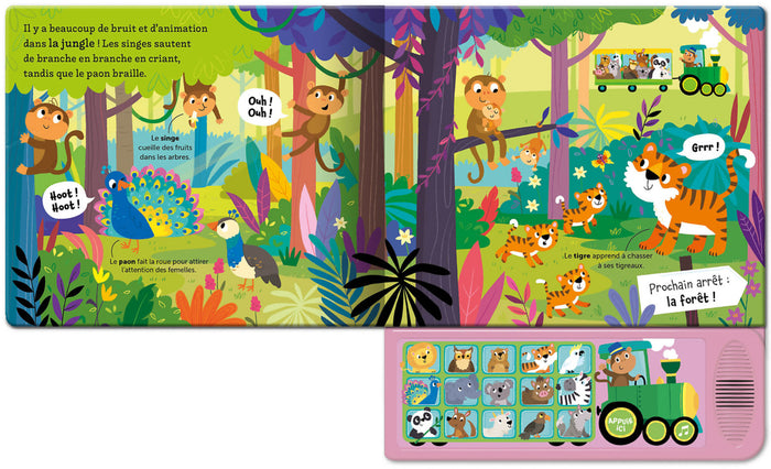 Écoute et joue - Les animaux du monde