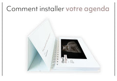 Semainier 2025 - Chats mignons