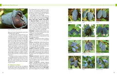 Encyclopédie des fruitiers sauvages ou méconnus - Pour le jardin & la haie fruitière