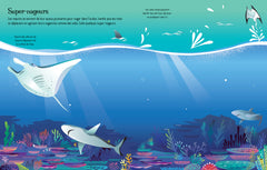 Les requins et les raies
