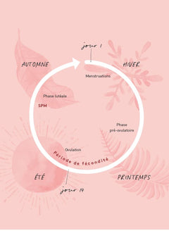 Journal intime menstruel