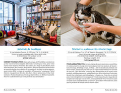 Avoir un chat à Paris - Santé, toilettage, pattucure, cat-sitting et psy-chat-nalyse...