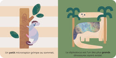 Les dinosaures - À la découverte des contraires