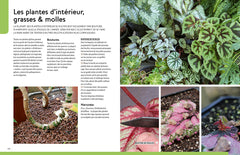 Multiplier toutes les plantes - Semis, bouturage, greffe, marcottage, division