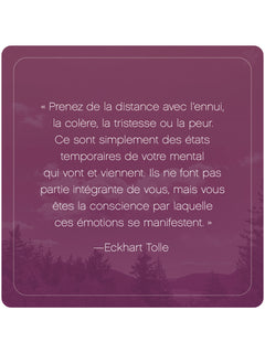 L'Appel du moment présent d'Eckhart Tolle - 52 cartes pour calmer l'esprit et vivre dans l'ici et maintenant