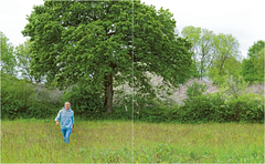 Silence ça pousse: Jardins du bocage