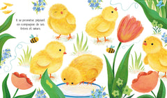 Le poussin - Le cycle de la vie