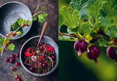 Chips de dahlias & Muffins aux coquelicots