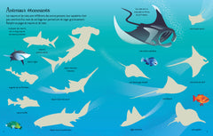 Les requins et les raies