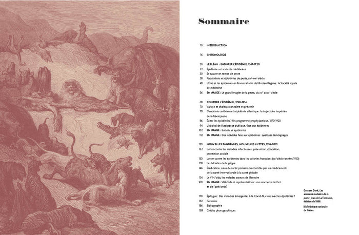 Face aux épidémies