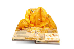 Toutankhamon - L'enfant pharaon