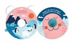 Petit ours cherche une maison