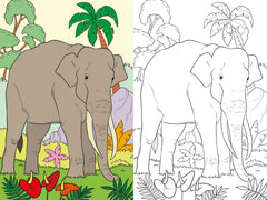 Les animaux de la jungle - Coloriage