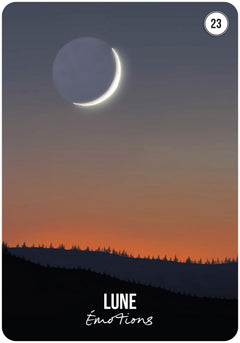 L'oracle des signes du temps