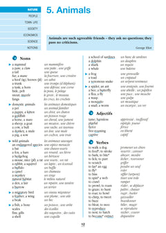 Le vocabulaire anglais - N° 19