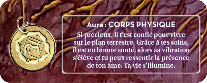 Le petit oracle de la mission d'âme