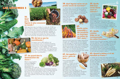 L'alimentation