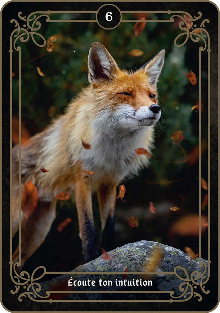 La réponse est là - Cartes oracle