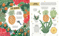 Plante