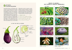 Sensibles par nature