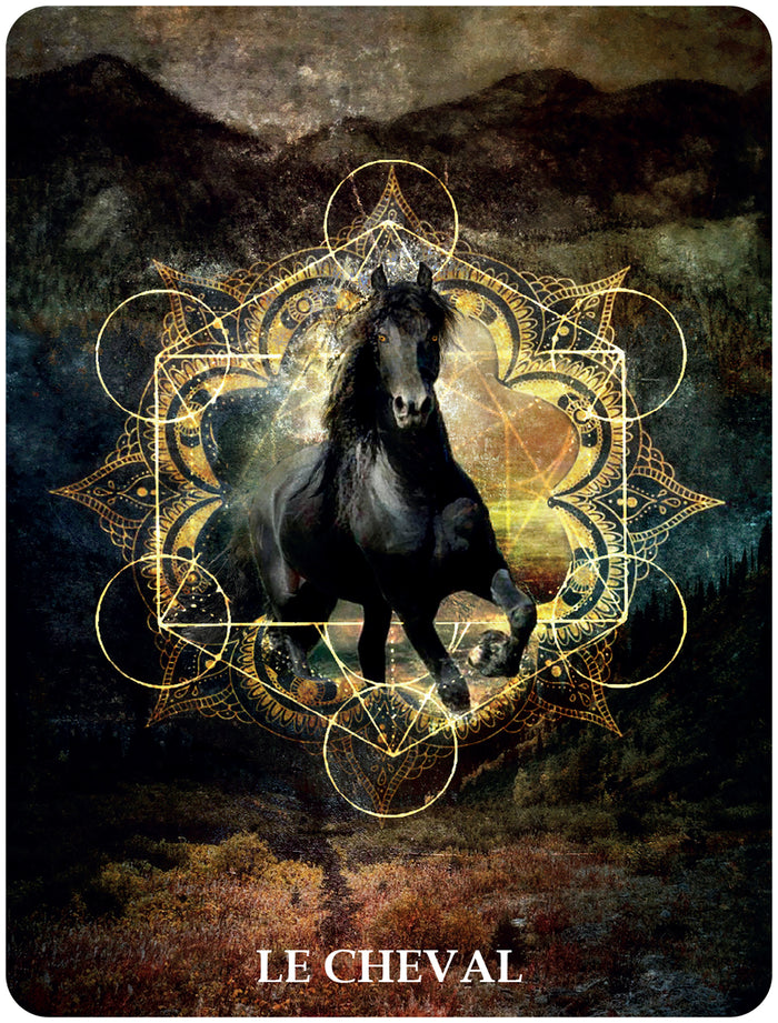 60 cartes de communication animale