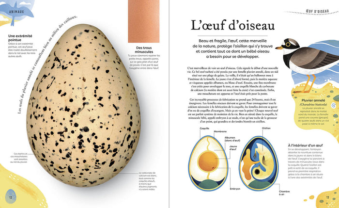 L'anthologie insolite des trésors de la nature