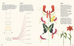 Le Monde des papillons