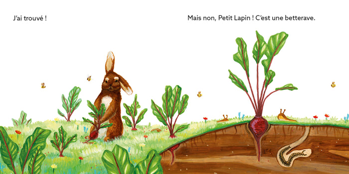 C'est quoi une carotte ?