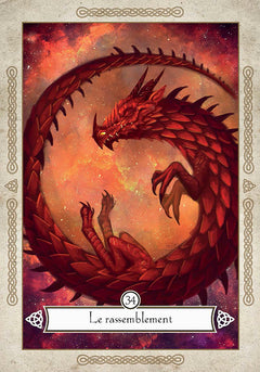 L'oracle des dragons vikings