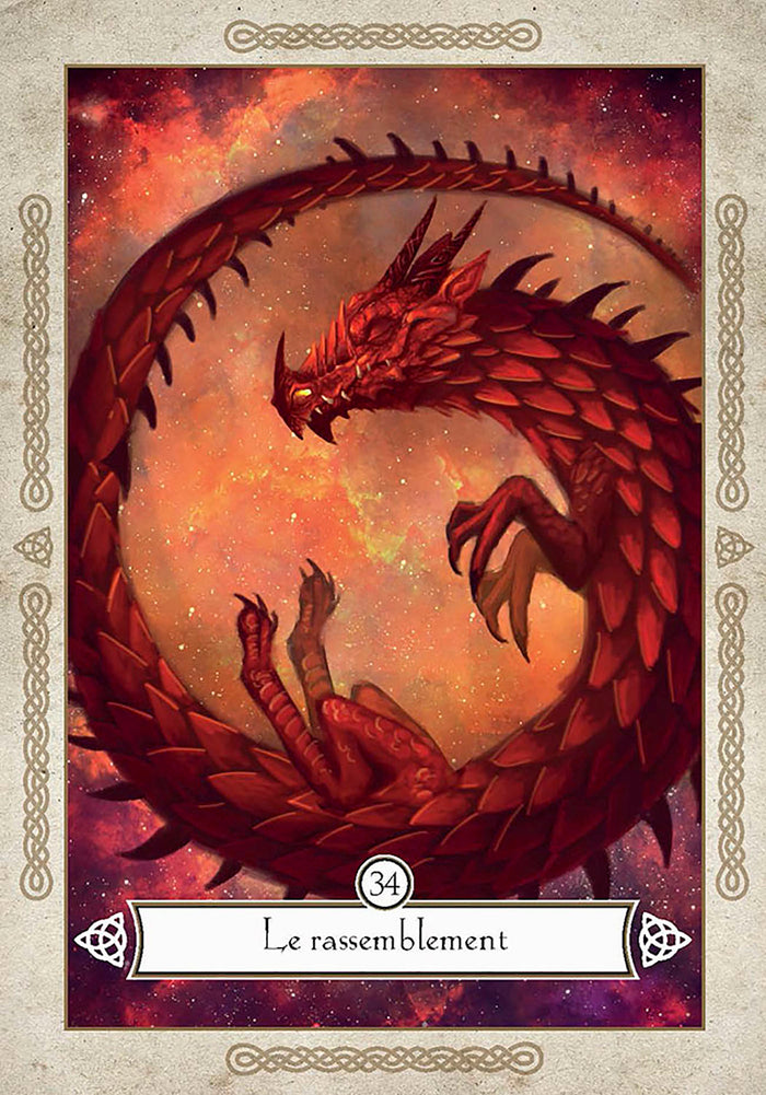 L'oracle des dragons vikings