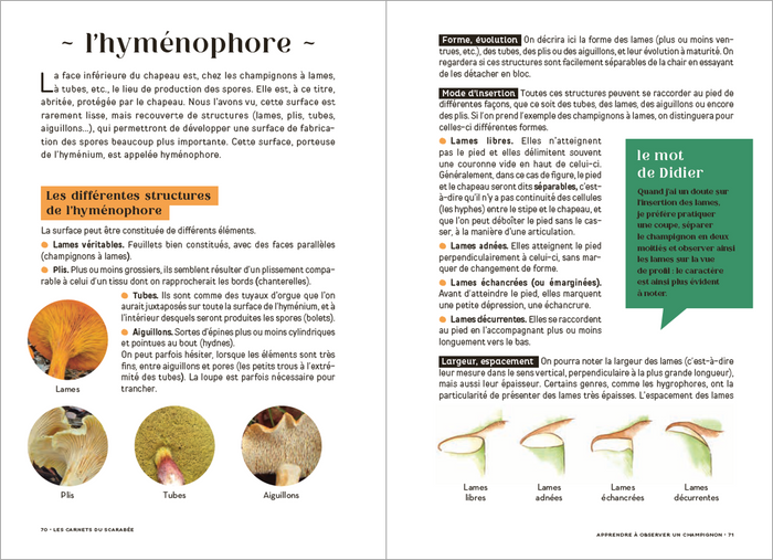 Les Carnets du Scarabée - Champignons