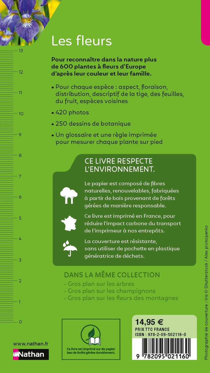 Gros plan sur les fleurs