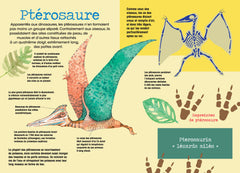 Construis en 3D Dinosaures