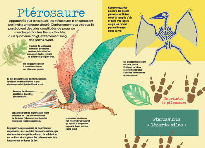 Construis en 3D Dinosaures