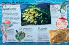 Les océans