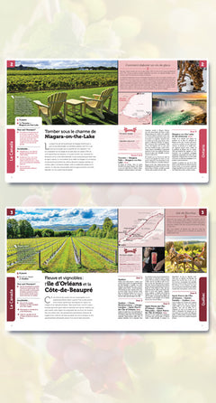 Routes des vins en Amérique du Nord - 50 itinéraires de rêve