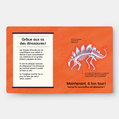 Quel est ce Dinosaure ?