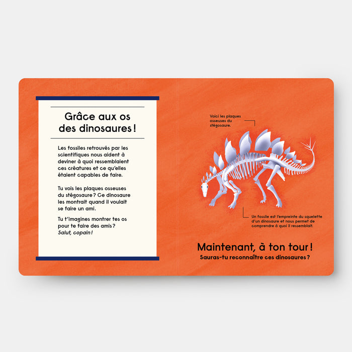 Quel est ce Dinosaure ?