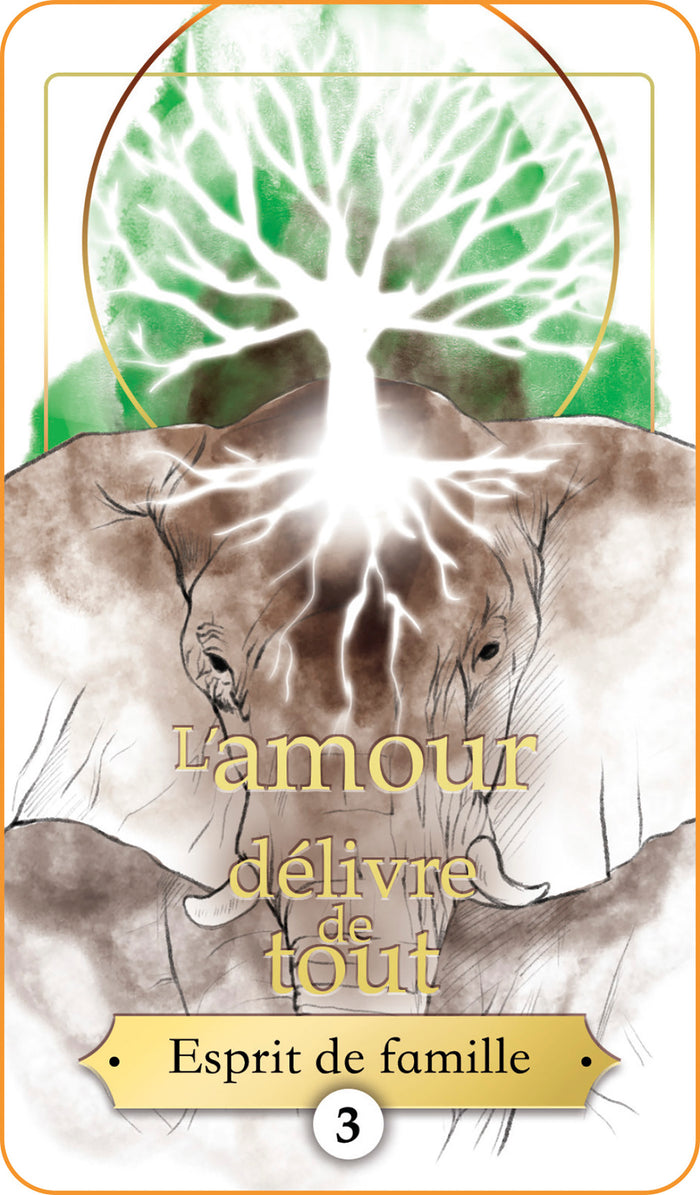 Messages de votre âme soeur