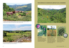 Célébrer la nature sur le Chemin de Compostelle