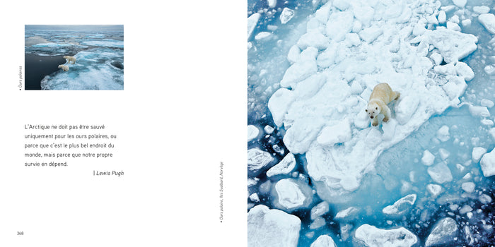 La mer : Un monde à préserver